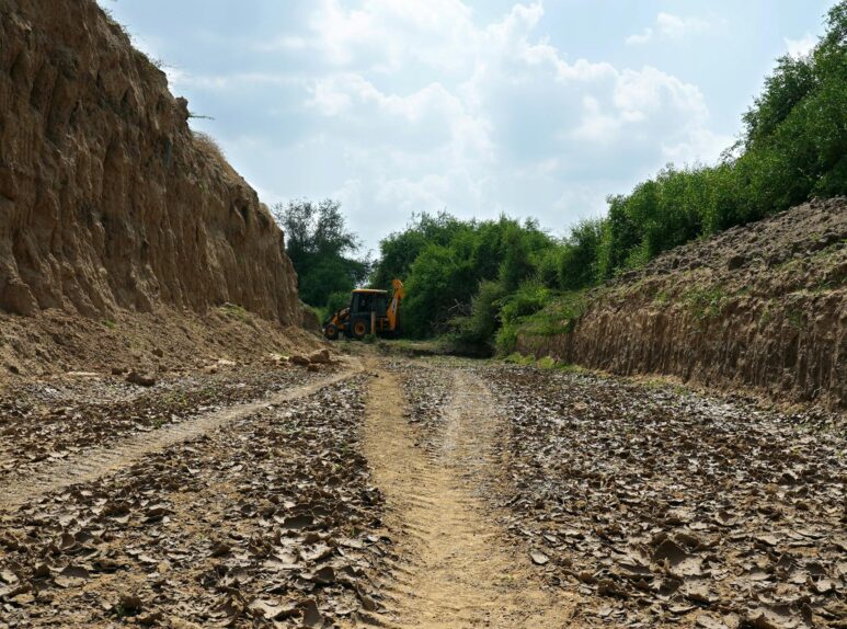 pexels-ankit-rainloure-1425442-13350163