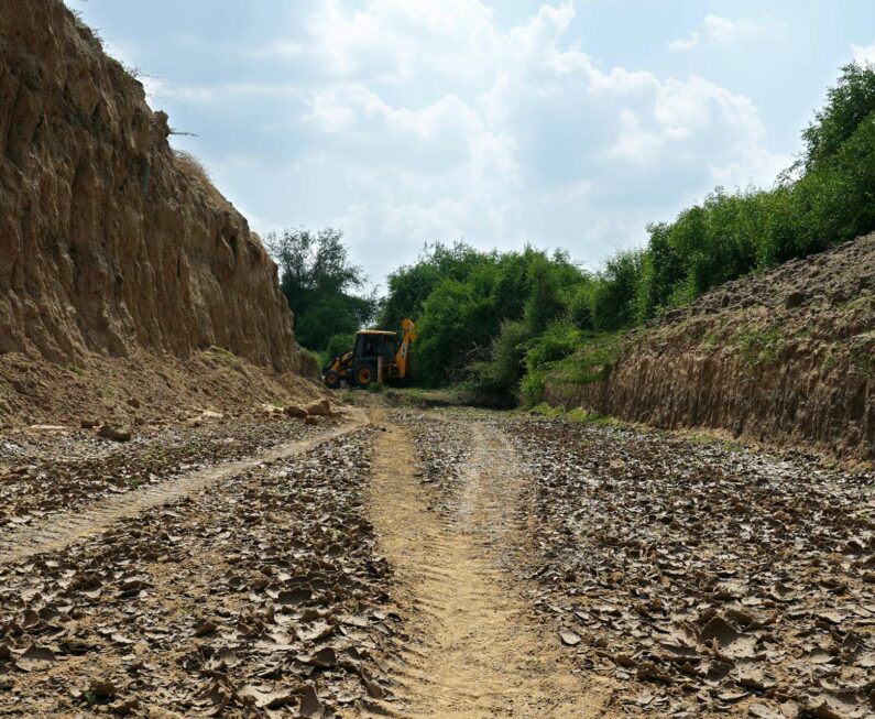 pexels-ankit-rainloure-1425442-13350163